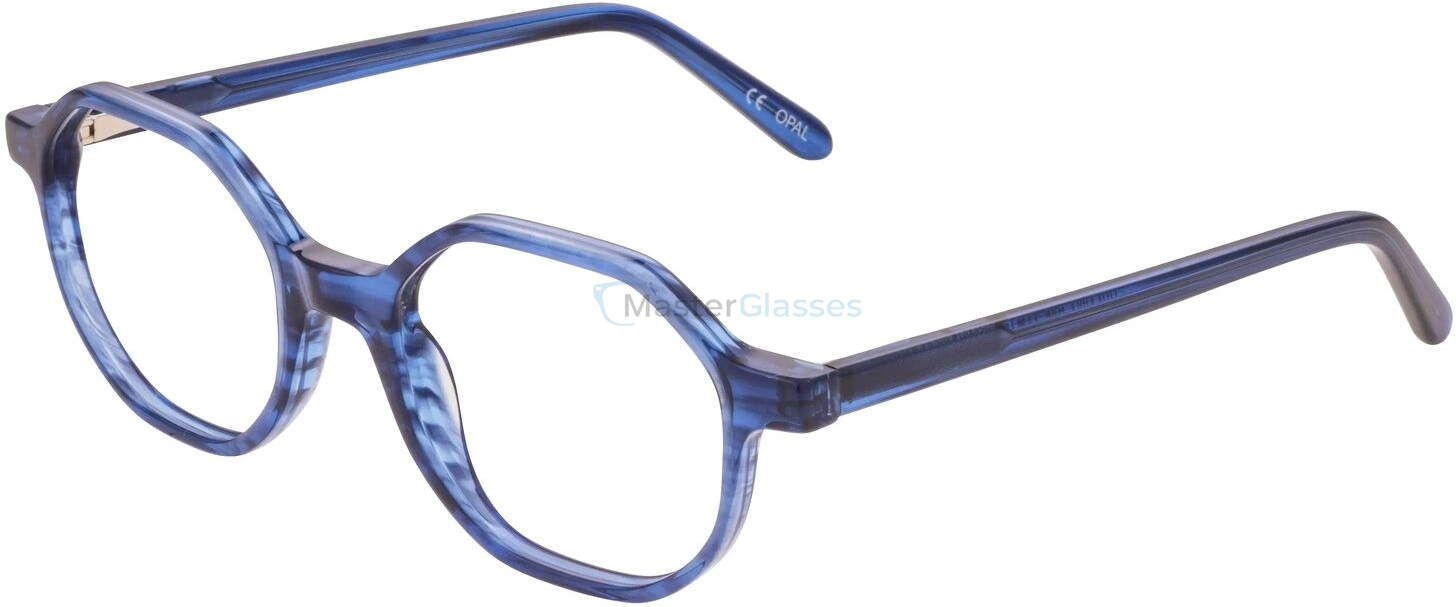 Детская оправа Opal Premium OPAA 204 C66