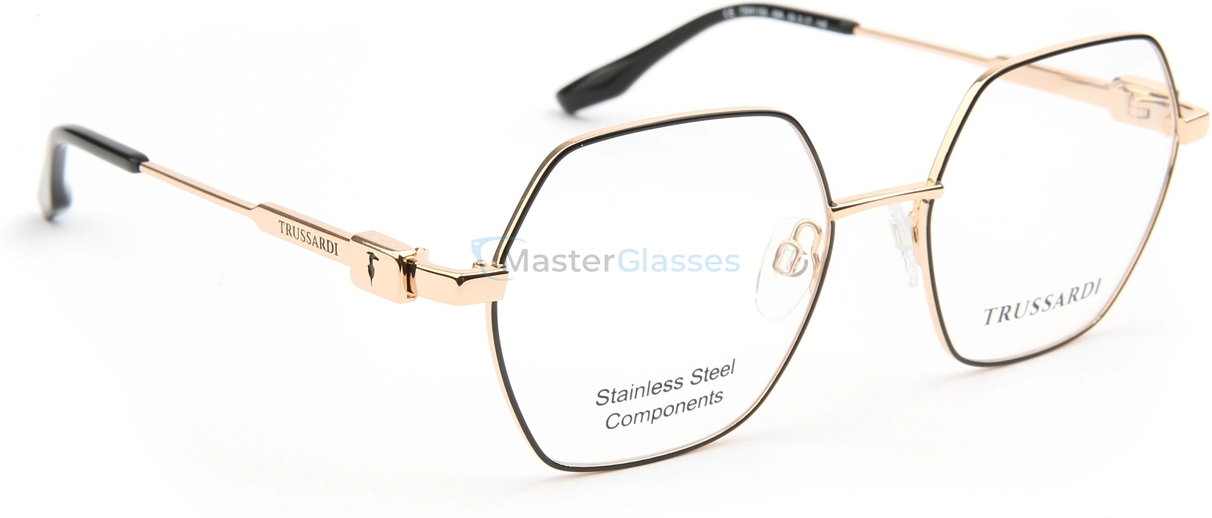 Оправа Trussardi TSW1153 09A