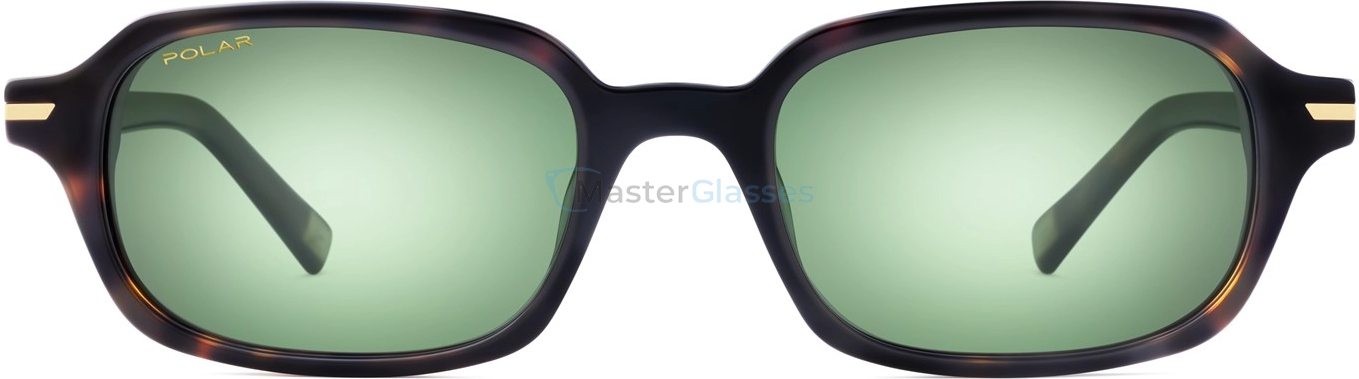 Солнцезащитные очки Polar Gold 3038 col. 428/G
