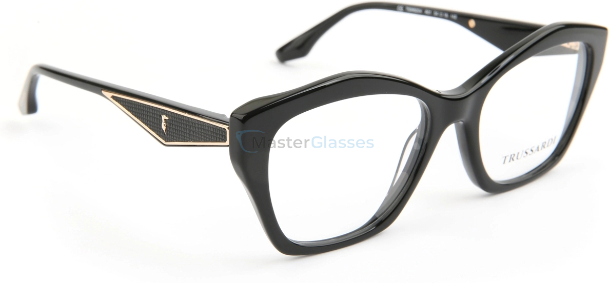 Оправа Trussardi TSW6204 A01