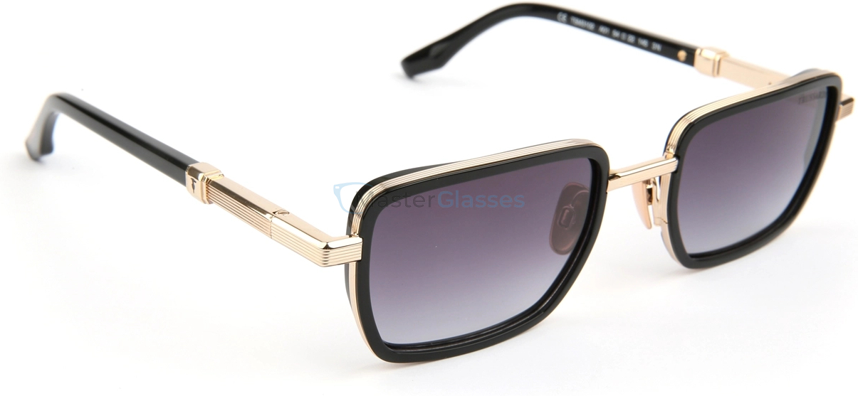 Солнцезащитные очки Trussardi TSM3102 A01