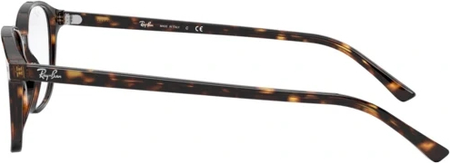 Оправа Ray-Ban Leonard RX5393 2012 Havana