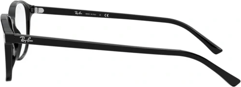 Оправа Ray-Ban LEONARD RX5393 2000 Black