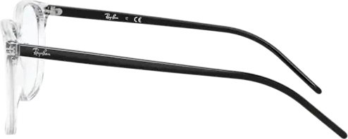 Оправа Ray-Ban RX5387 5629 Transparent