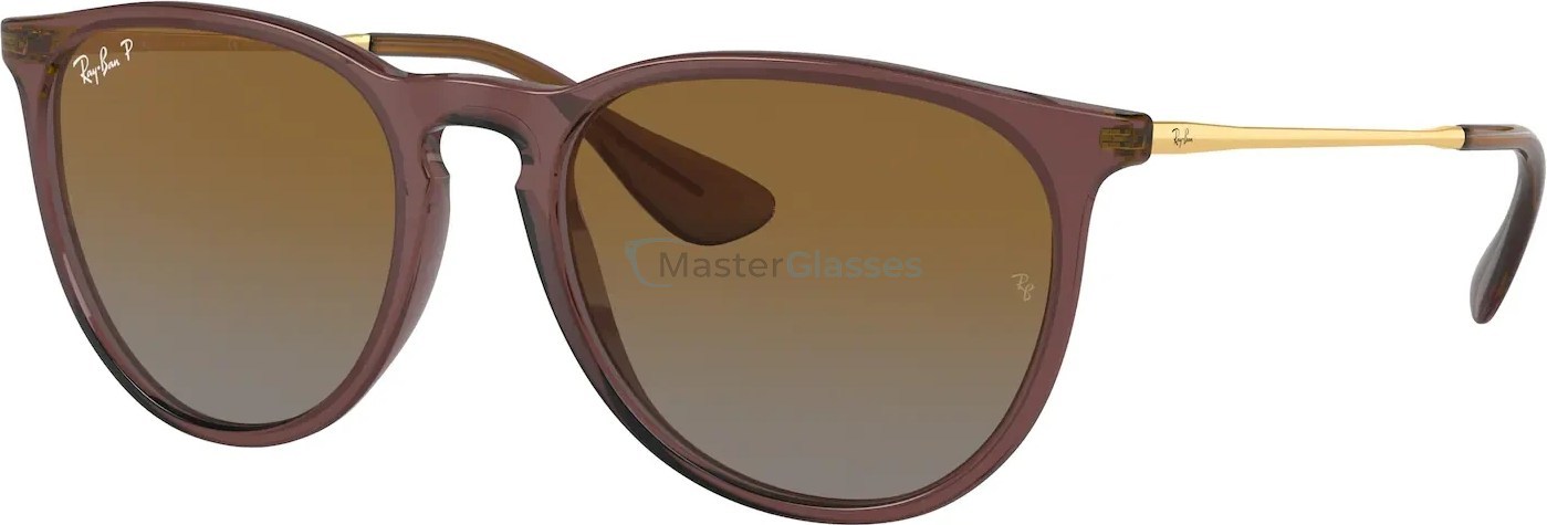 Солнцезащитные очки Ray-Ban Erika RB4171 6593T5 Transparent Dark Brown
