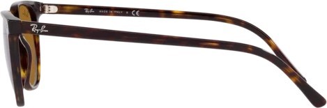 Солнцезащитные очки Ray-Ban Elliot RB2197 902/33 Havana