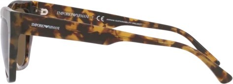 Солнцезащитные очки Emporio Armani EA4176 502573 Shiny Brown Havana