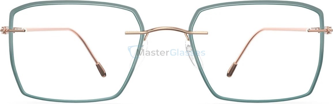 Оправа Silhouette 5566 GV 3530 54/19 Lite Spirit Accent Rings