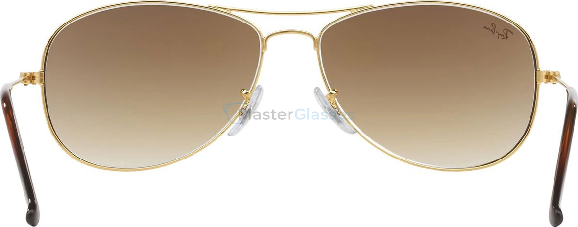 Солнцезащитные очки Ray-Ban Cockpit RB3362 001/51 Arista