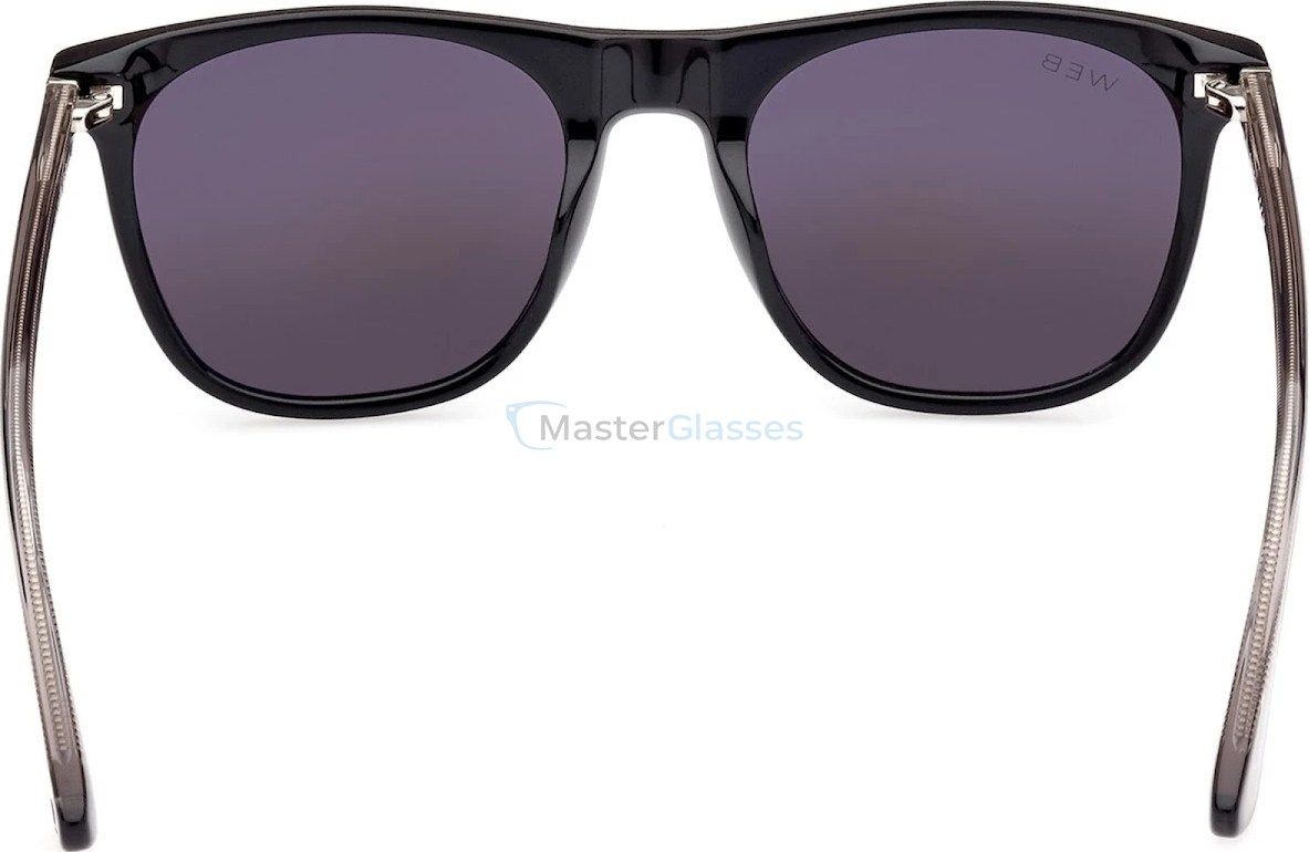Солнцезащитные очки Web Eyewear WE 0339 01A 53