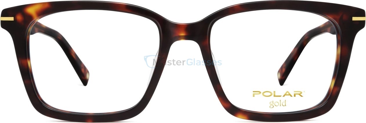 Оправа Polar Gold 02 col. 428