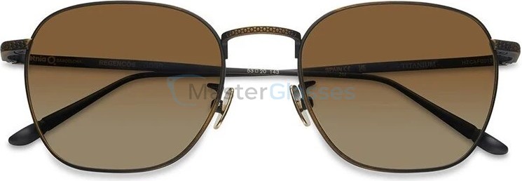 Солнцезащитные очки Etnia Barcelona 3 REGENC 53S GDGR