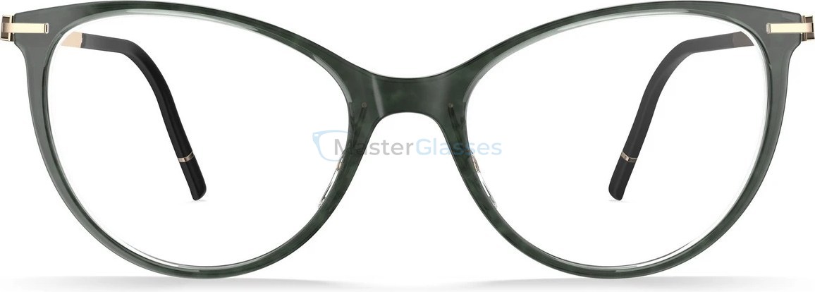 Оправа Silhouette L017 75 6520 53/17 Momentum Aurum