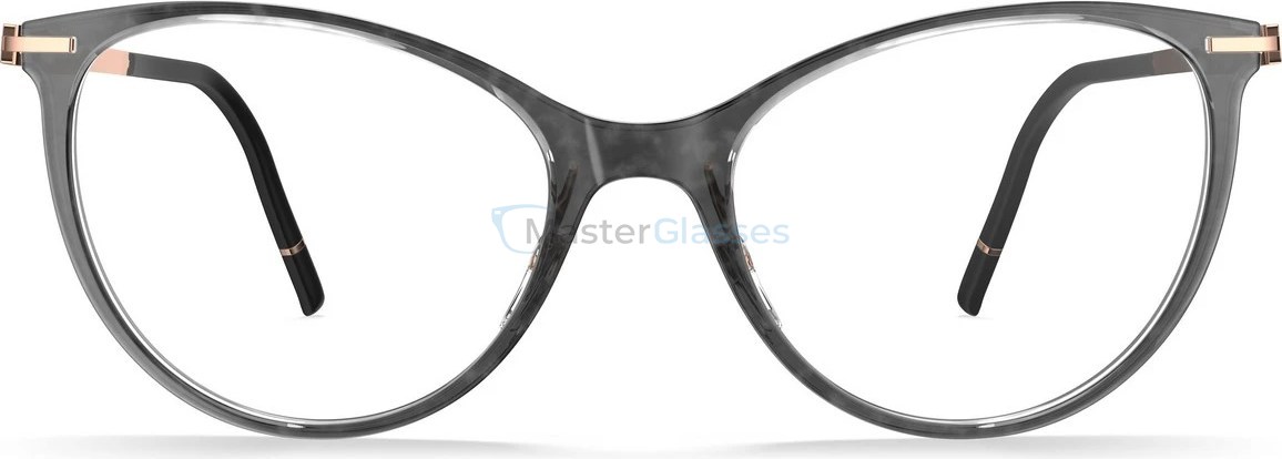Оправа Silhouette L017 75 6620 53/17 Momentum Aurum