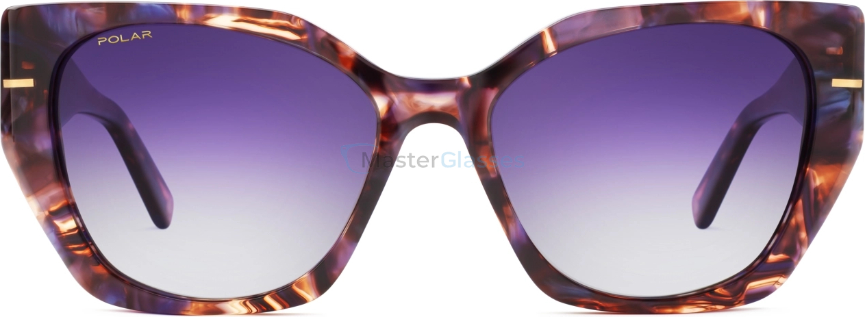 Солнцезащитные очки Polar Gold 192 col. 418