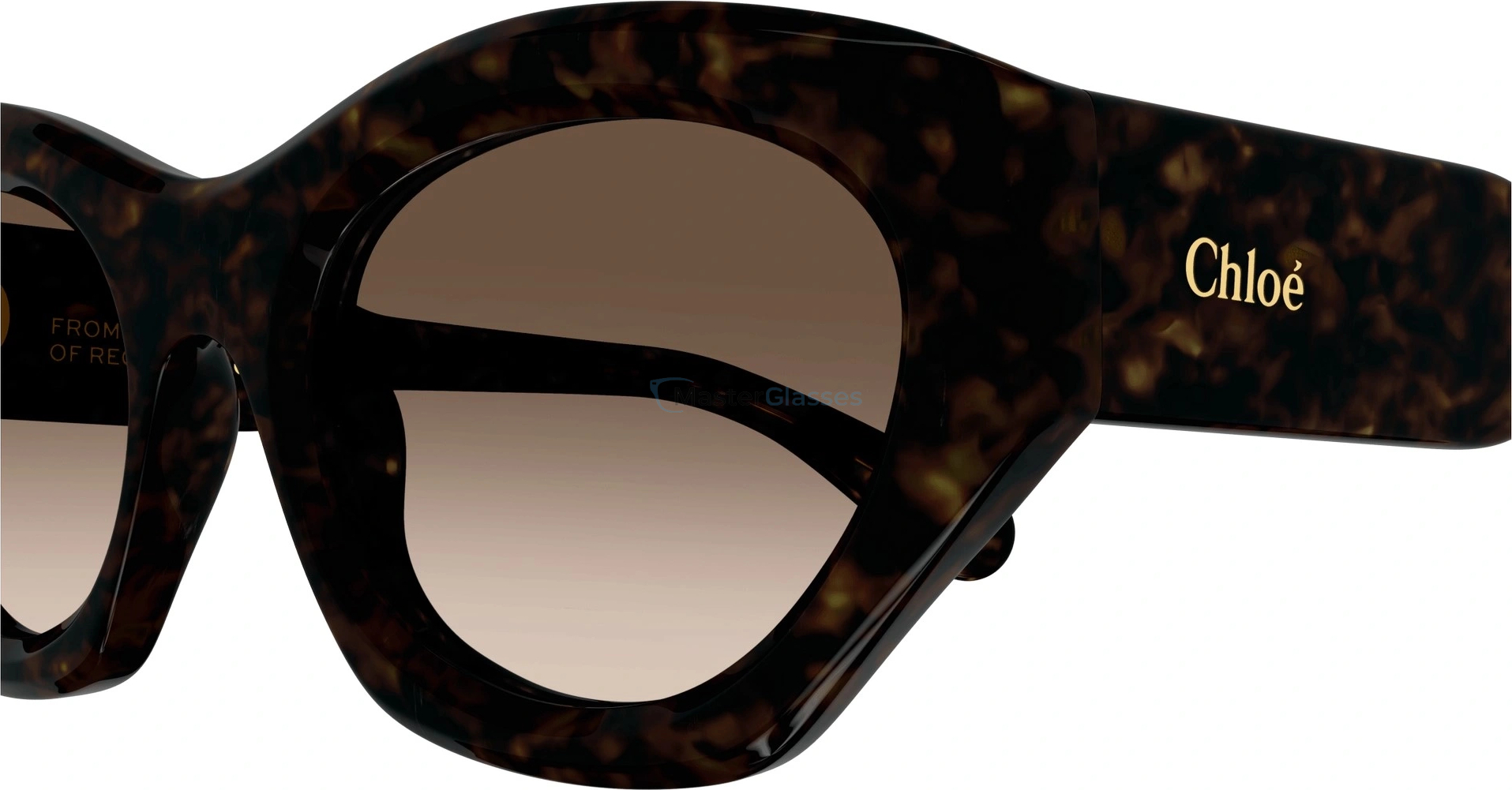 Chloe CH0220S-002 53 Очки солнцезащитные