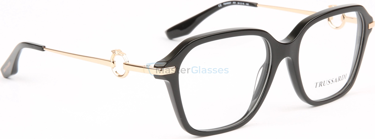 Оправа Trussardi TSW6037 A01