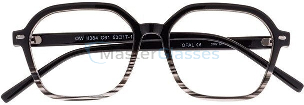 Оправа Opal OWII 384 C61