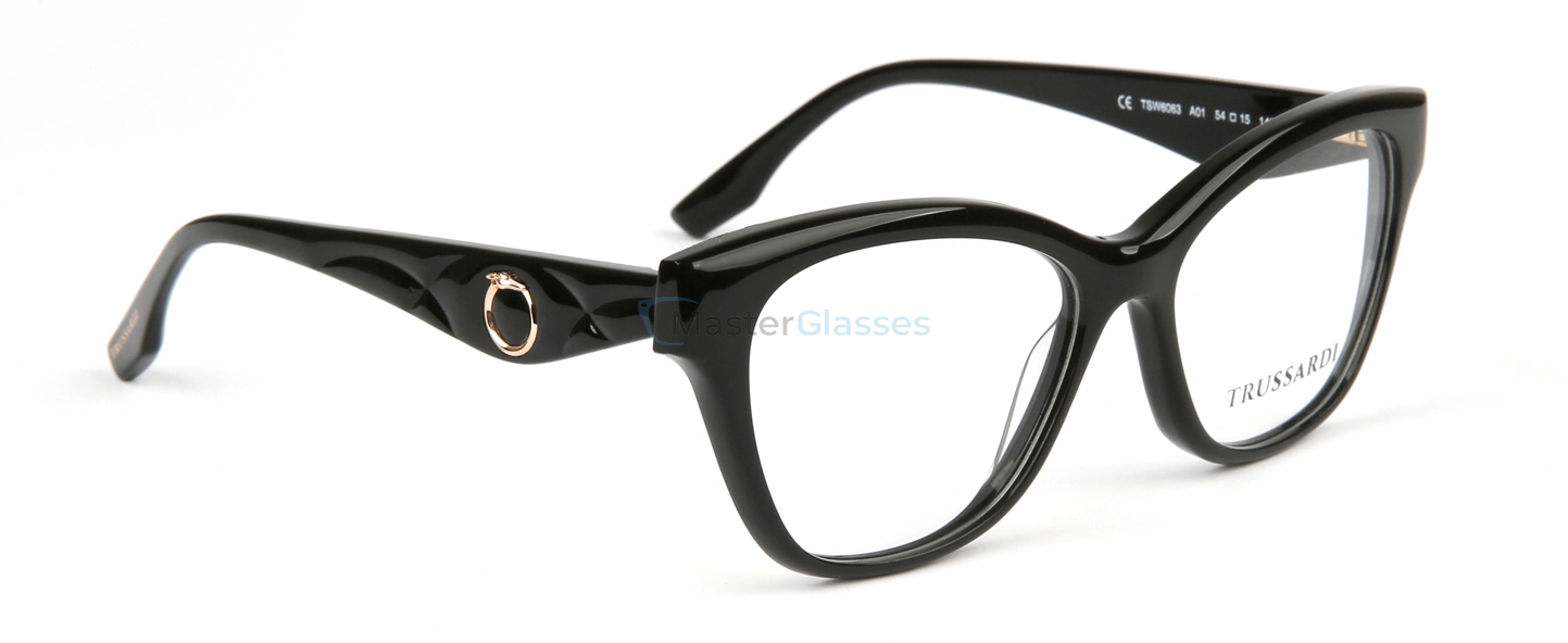 Оправа Trussardi TSW6063 A01