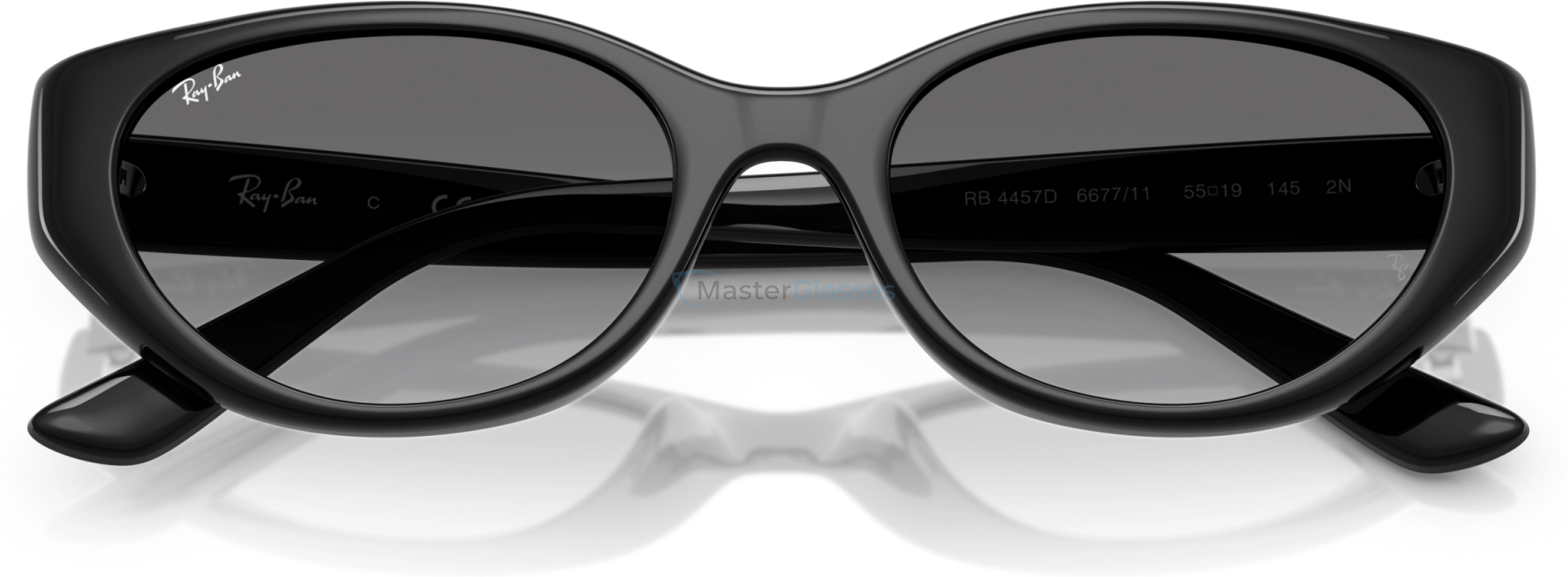 Солнцезащитные очки Ray-Ban RB4457D 667711 Black