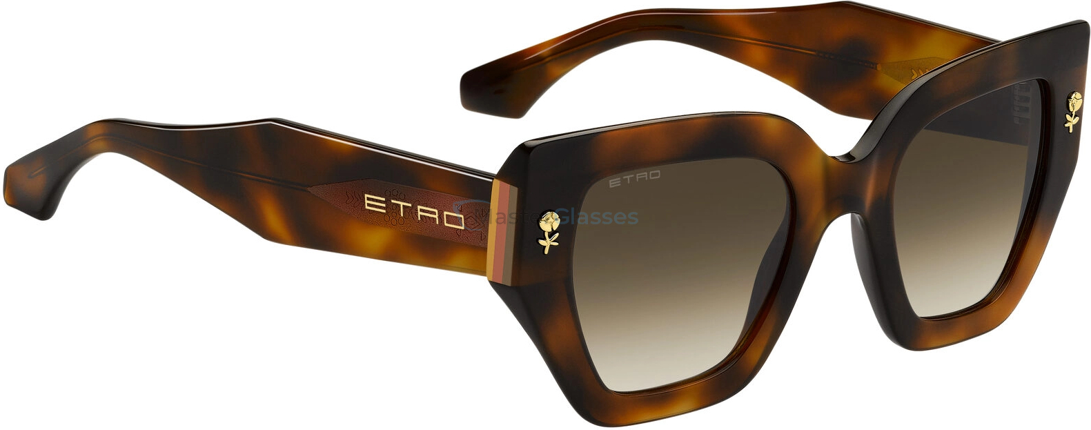 Солнцезащитные очки ETRO 0010/S 05L Havana 2