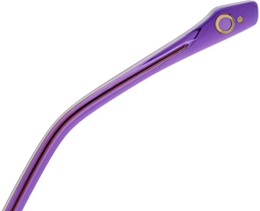 Оправа Etnia Barcelona 5 SAKURA 55O RDPU