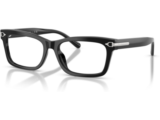 Ralph Lauren RL6255U 5001 Black