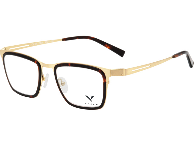 CEO-V CV 388 DEM