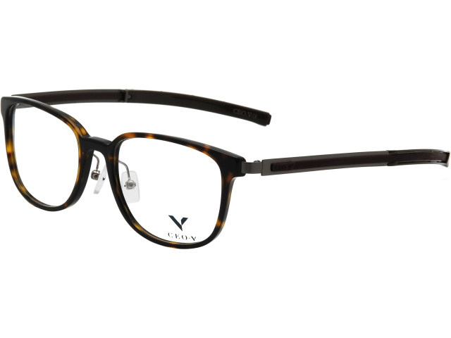 CEO-V CV 684 DEM