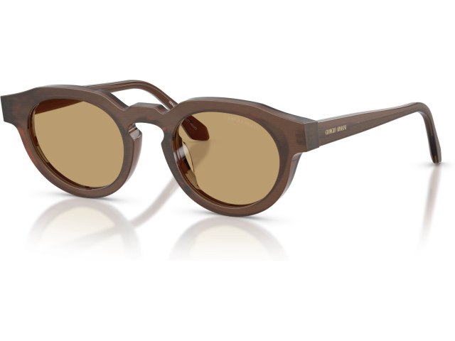 Giorgio Armani AR8255U 639473 Brown
