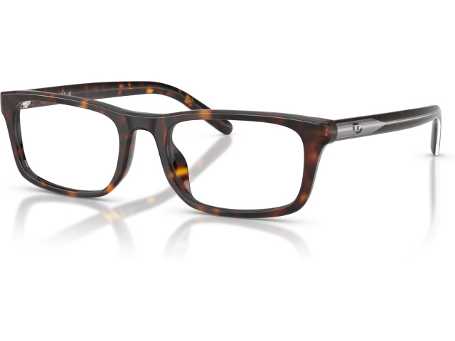Diesel DL4017U 2003 Tortoise