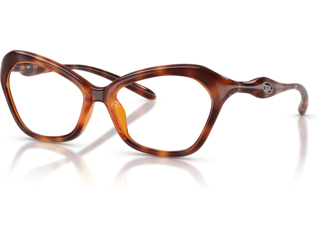 Diesel DL6003U 2003 Tortoise