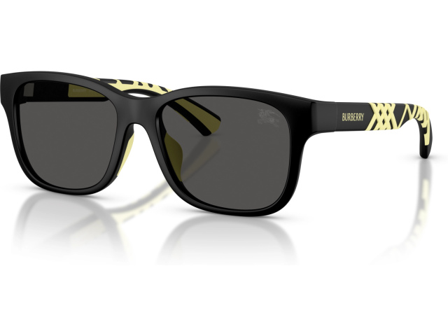 Burberry JB4007U 346487 Black