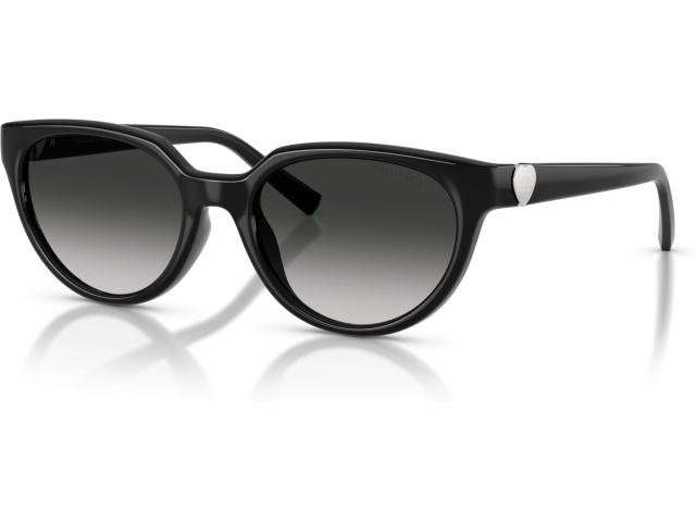 Tiffany TF4256D 80013C Black