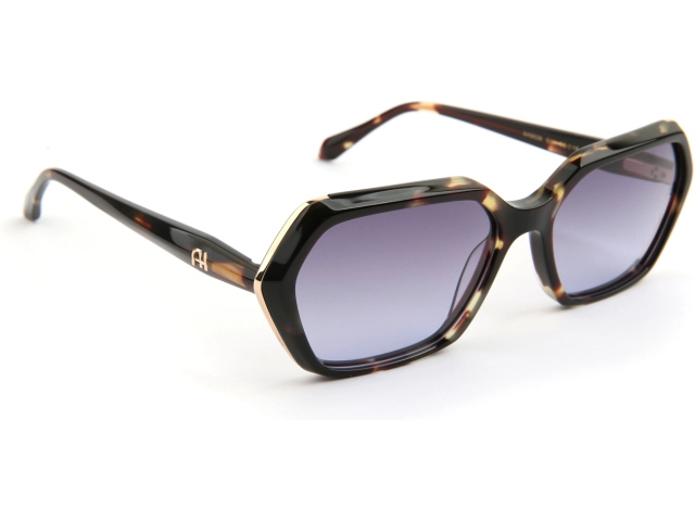 Ana Hickmann AH9536 G21