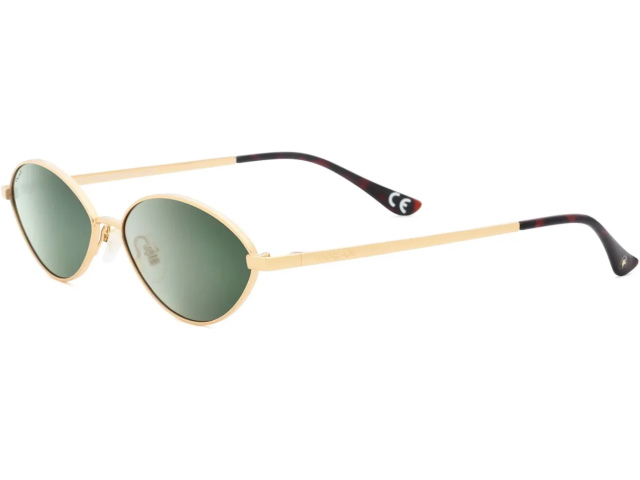Polar 4010 col. 02/G