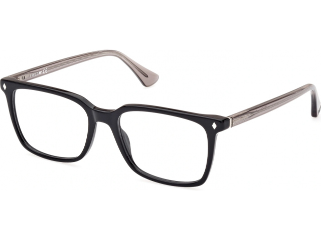 Web Eyewear WE 5401 001 56