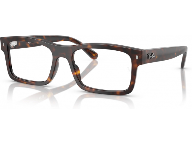 Ray-Ban RX5435 2012 Tortoise