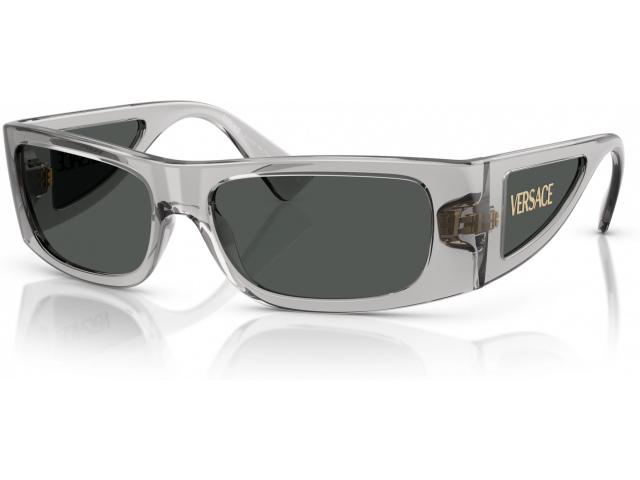 Versace VE4482 530587 Grey
