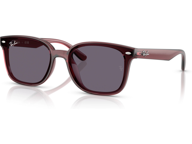Ray-Ban RB4461D 659373 Brown