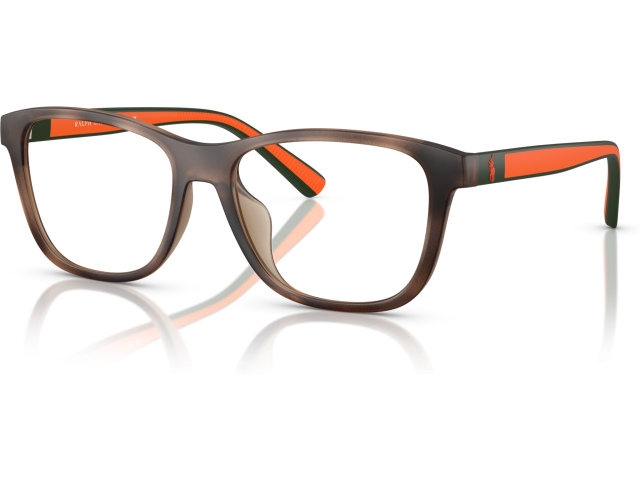 Polo PH4228U 607071 Tortoise