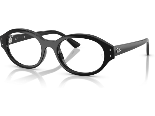 Ray-Ban SHILO RX7257 8260 Black